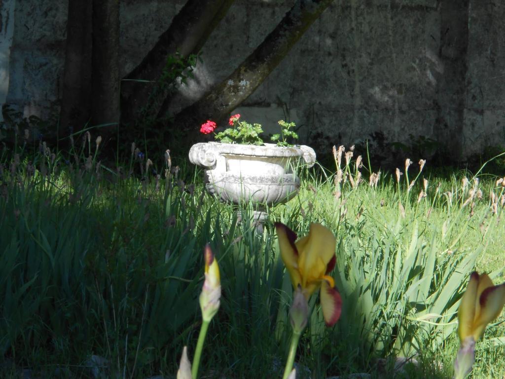Clos Du Bois Brard B&B Сомюр Екстериор снимка